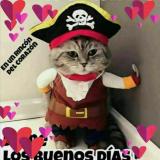 Isabel R. avatar icon