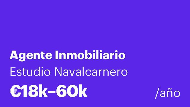 Agente Inmobiliario