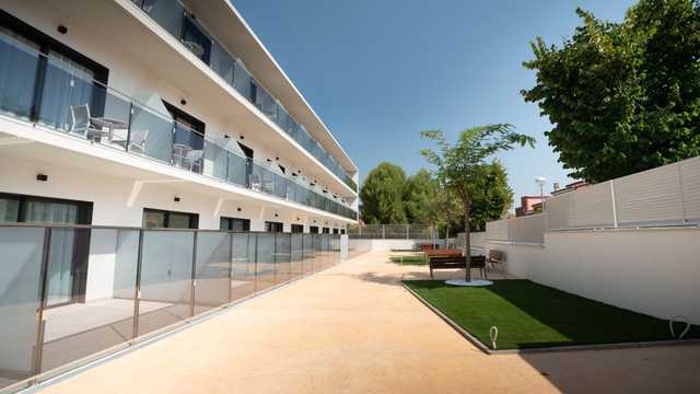 Auxiliar de Geriatría