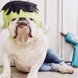 Marta D. avatar icon