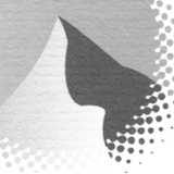 Susana C. avatar icon