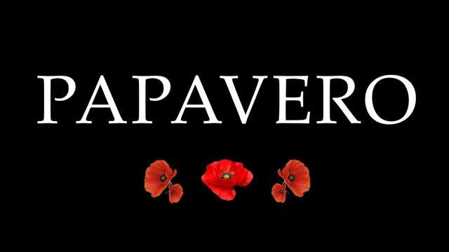 Camarero/a cocinero/a