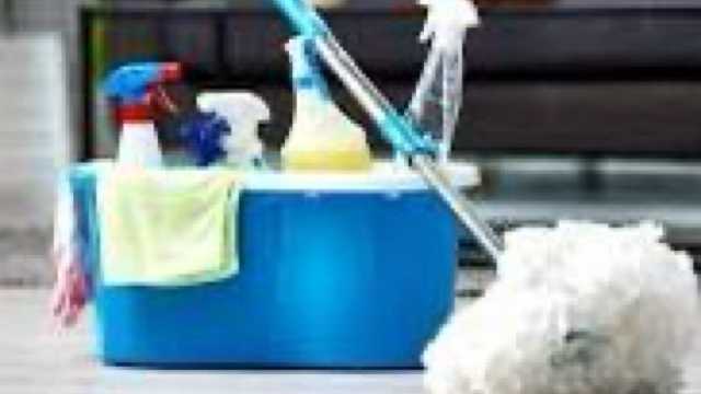 Cleaner