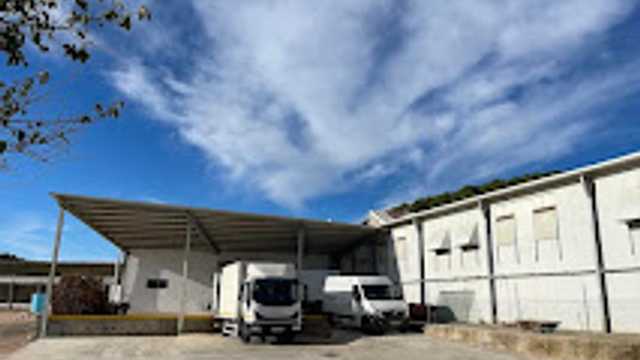 Camionero/a