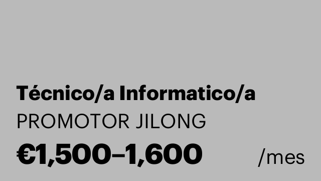 Técnico/a Informatico/a