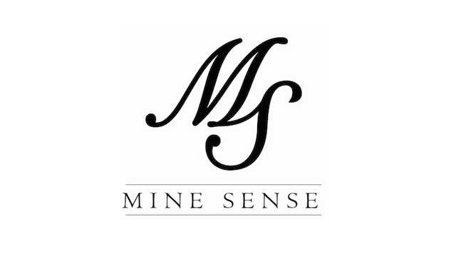 Business Development Executive