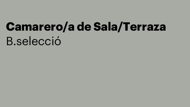Camarero/a de Sala/Terraza