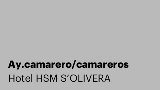 Ay.camarero/camareros