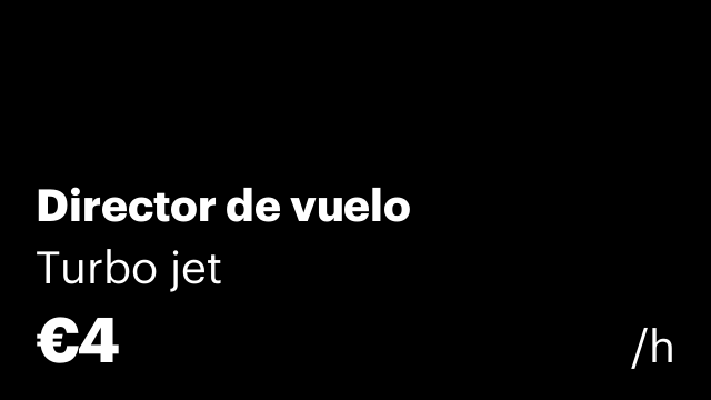 Director de vuelo