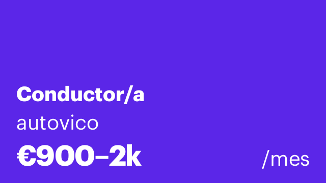 Conductor/a