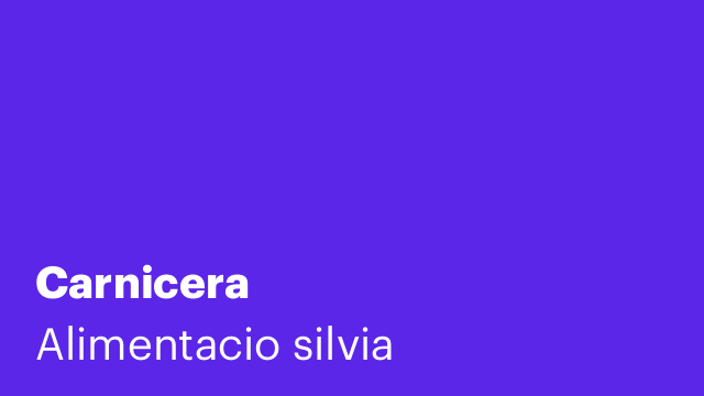 Carnicera