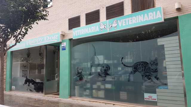 Veterinario/a
