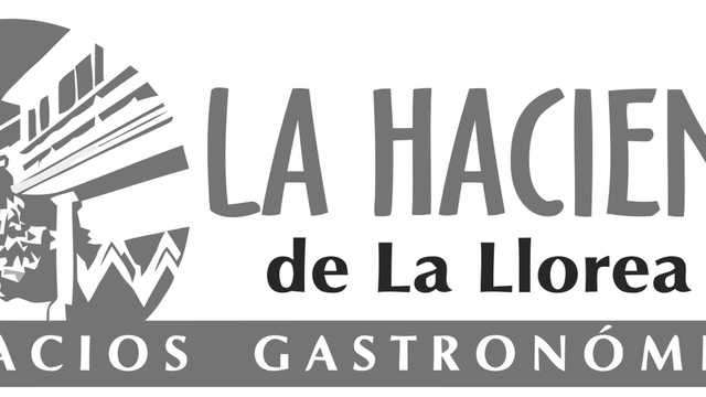 Comercial y Captador/a