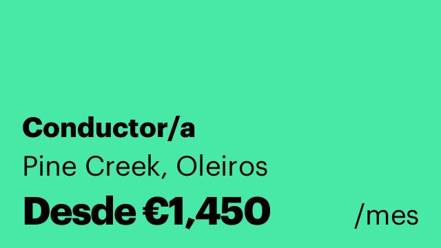 Conductor/a