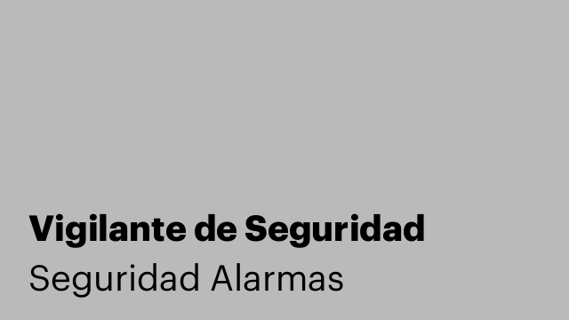 Vigilante de Seguridad