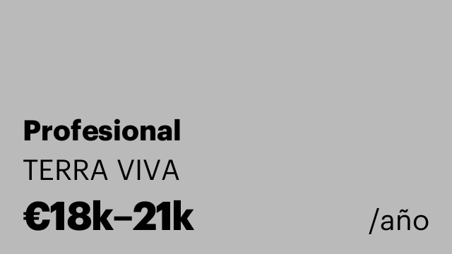 Profesional