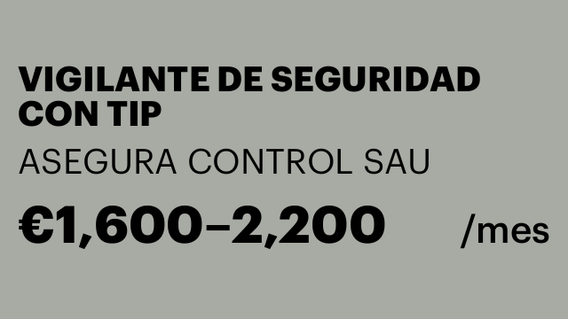 VIGILANTE DE SEGURIDAD CON TIP