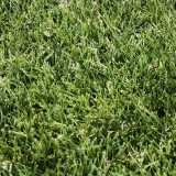 Ariel Gustavo G. avatar icon