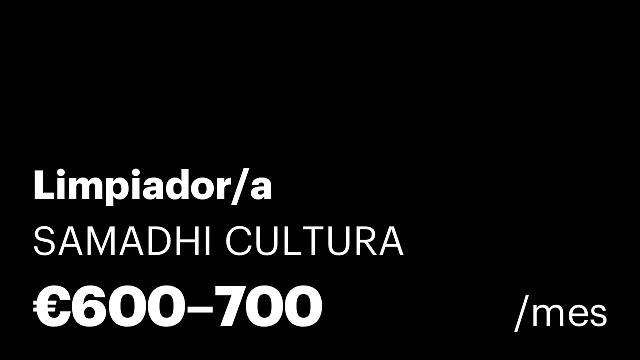 Limpiador/a
