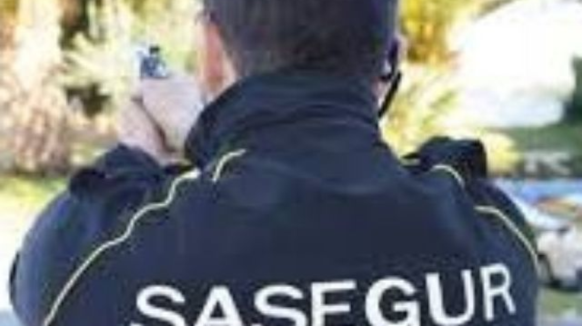 SASEGUR cover image