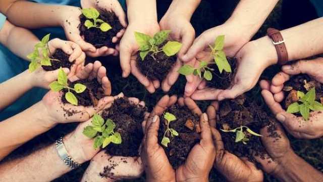 Trabajo estable .Contrato y sueldo  fijo. Media jornada TARDES