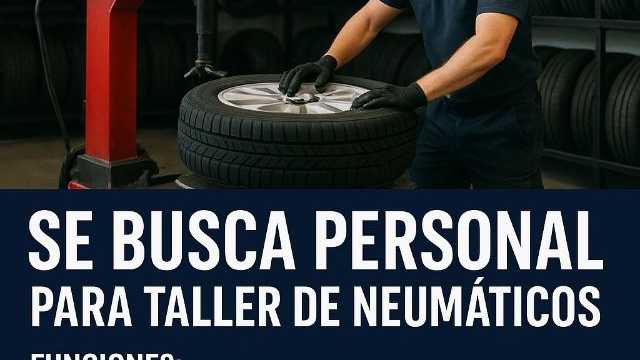 Mecánico Taller Neumáticos