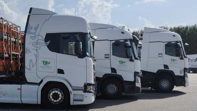 Transportista