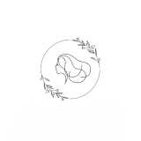 Luna X. avatar icon