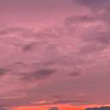 Rosa  C. avatar icon