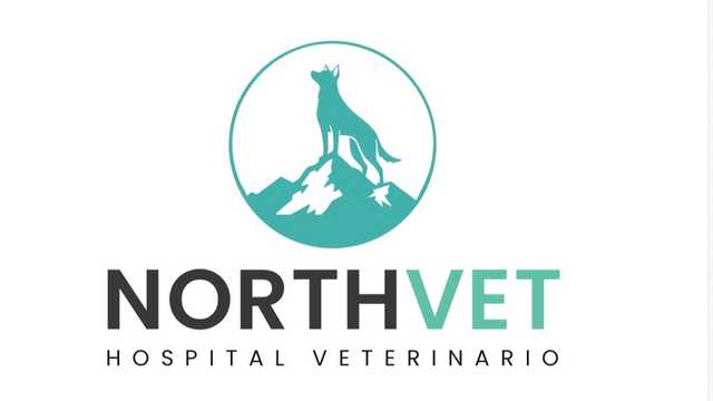 Veterinario/a