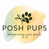 Noosh R. avatar icon