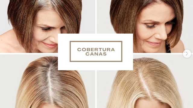 Modelo de Peluquería
