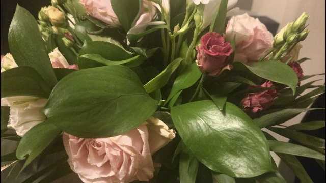 Ayudante/a de Cocina y Office