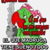 Yaiza D. avatar icon