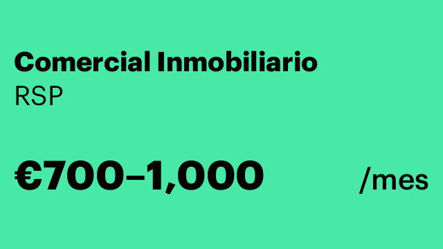 Comercial Inmobiliario