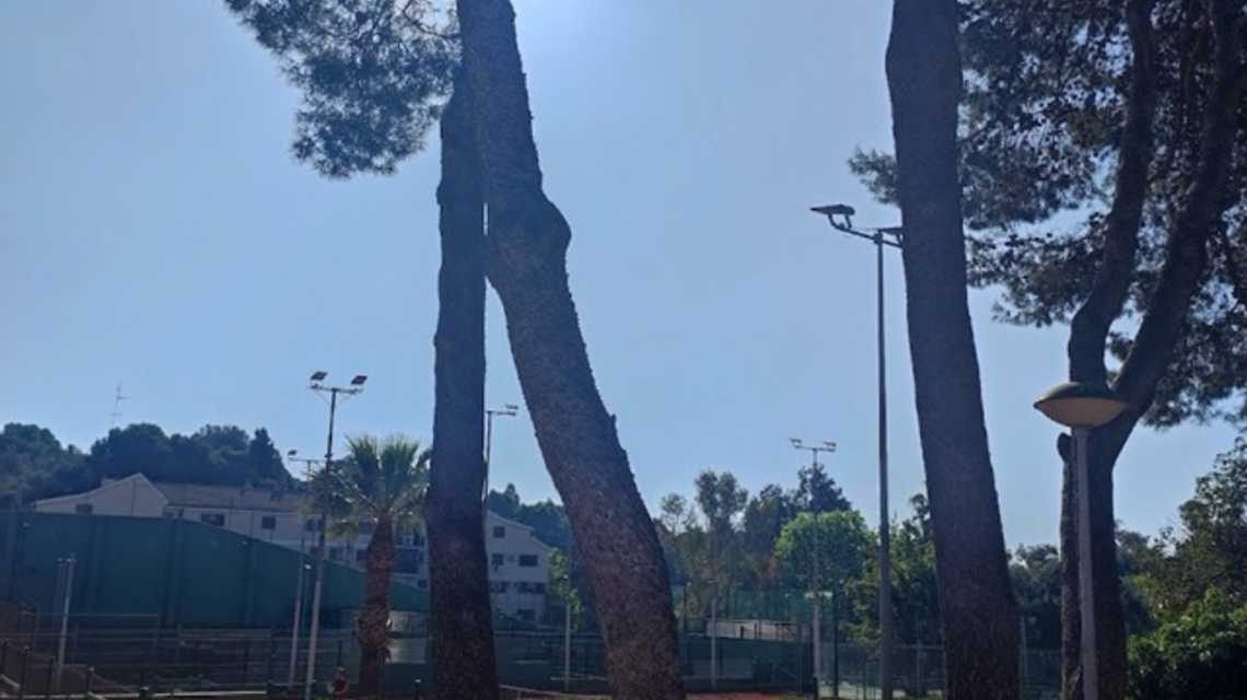 Restaurante Club Español de Tenis cover image