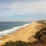 Alfonso B. avatar icon