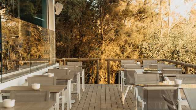 Vigilante de Seguridad