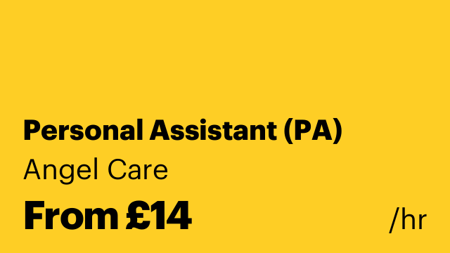 Personal Assistant (PA)
