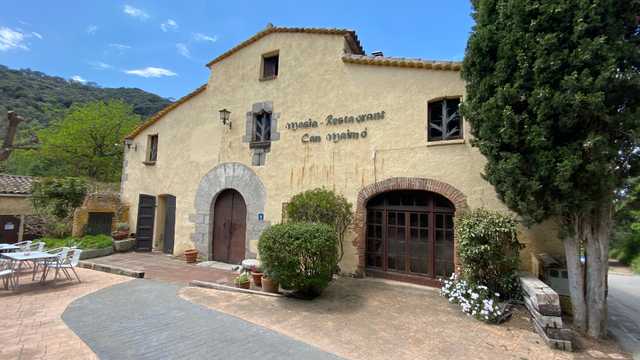 Ayudante/a de Cocina