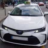 Teresa P. avatar icon