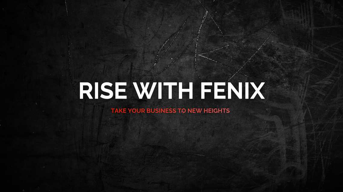 Fenix Consulting Group  cover image