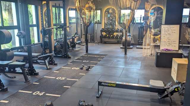 Entrenador