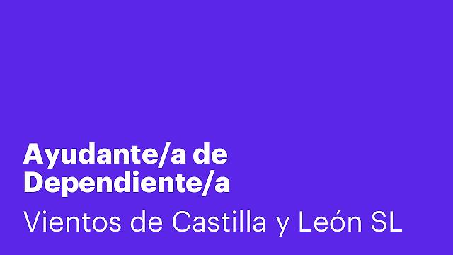 Ayudante/a de Dependiente/a