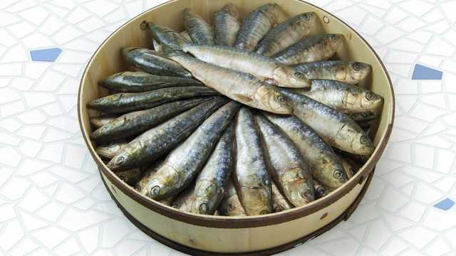 Operario/a de producción - Sector alimentario