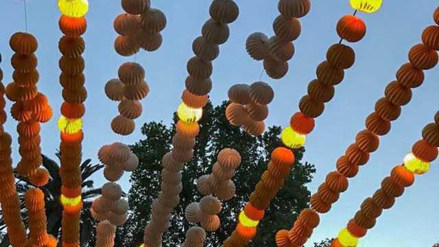 Ayudante/a de Cocina