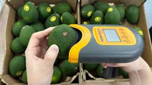 Comercial y Captador/a