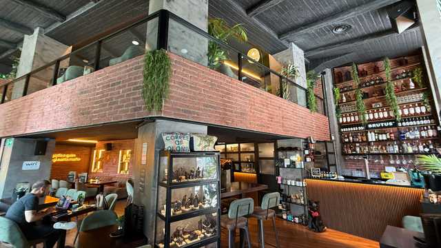 Camarero/a y Barista