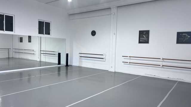 Profesor/a de Ballet Clásico