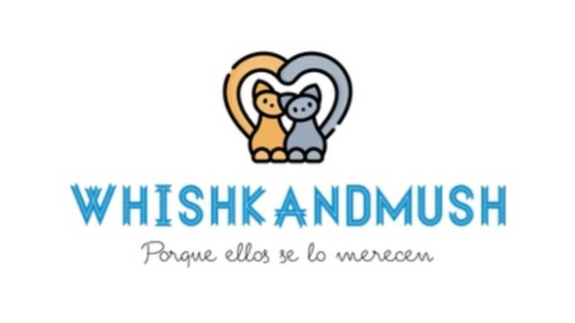 Wishkandmush  cover image